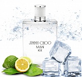 JIMMY CHOO MAN ICE edt (m) Мужская Туалетная Вода